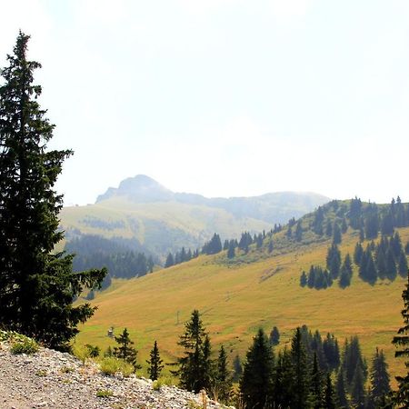 Appartement Confortable A Thollon-Les-Memises Avec Vue Zewnętrze zdjęcie